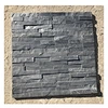 ledge stone